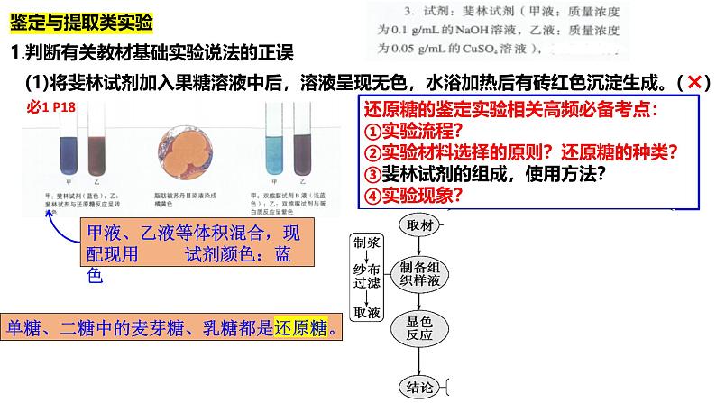 新高考生物二轮复习热点专题专项突破课件 专题一+教材基础实验（含答案）04