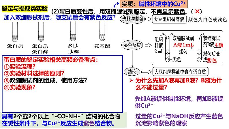 新高考生物二轮复习热点专题专项突破课件 专题一+教材基础实验（含答案）05