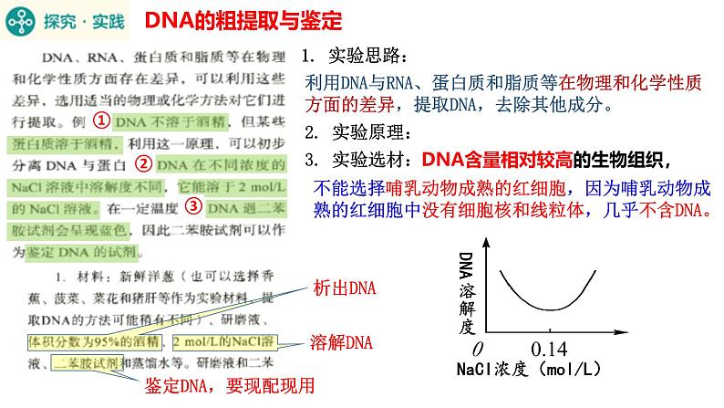 新高考生物二轮复习热点专题专项突破课件 专题一+教材基础实验（含答案）07