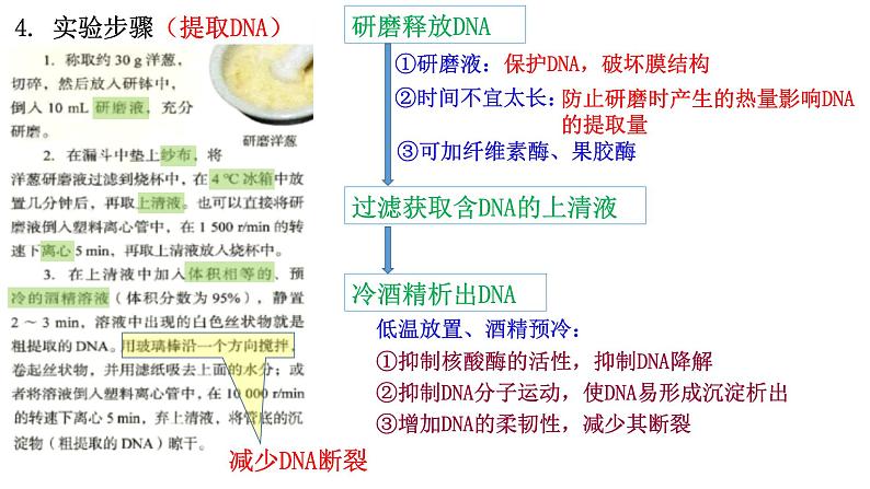 新高考生物二轮复习热点专题专项突破课件 专题一+教材基础实验（含答案）08