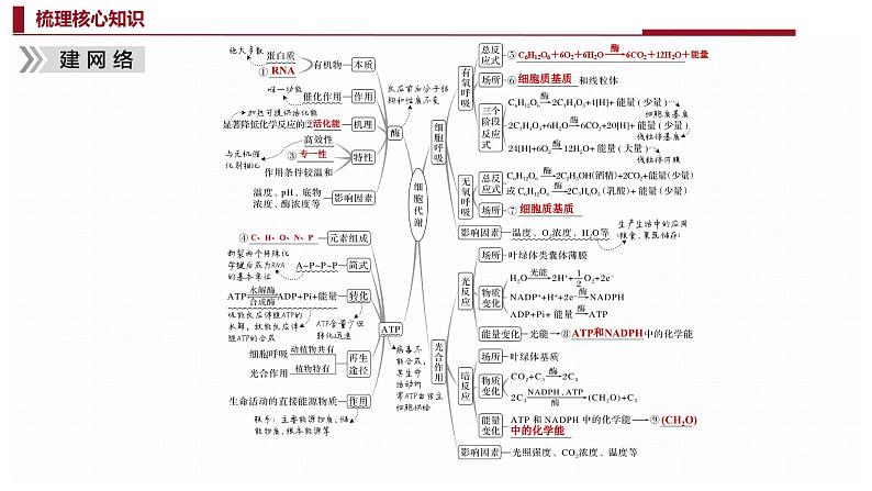 新高考生物二轮复习热点专题专项突破课件 专题二+细胞代谢（含答案）02