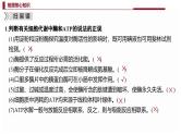 新高考生物二轮复习热点专题专项突破课件 专题二+细胞代谢（含答案）