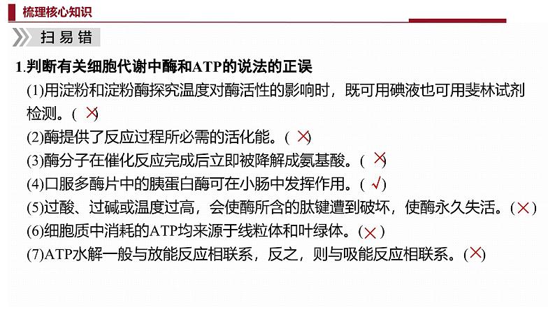 新高考生物二轮复习热点专题专项突破课件 专题二+细胞代谢（含答案）03