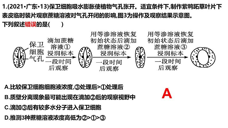 新高考生物二轮复习热点专题专项突破课件 专题二+细胞代谢（含答案）04