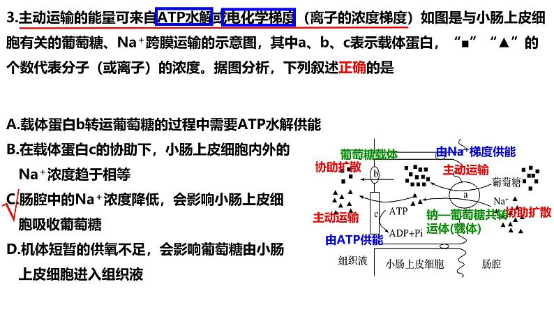 新高考生物二轮复习热点专题专项突破课件 专题二+细胞代谢（含答案）06