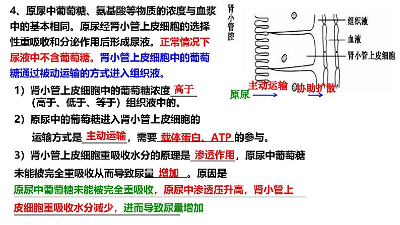 新高考生物二轮复习热点专题专项突破课件 专题二+细胞代谢（含答案）07