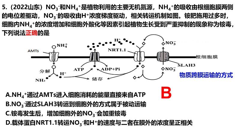 新高考生物二轮复习热点专题专项突破课件 专题二+细胞代谢（含答案）08