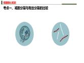 新高考生物二轮复习热点专题专项突破课件 专题三+细胞的分裂（含答案）