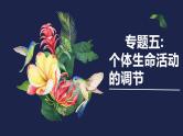 新高考生物二轮复习热点专题专项突破课件 专题五+个体生命活动的调节（含答案）