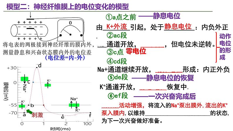 新高考生物二轮复习热点专题专项突破课件 专题五+个体生命活动的调节（含答案）05