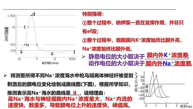 新高考生物二轮复习热点专题专项突破课件 专题五+个体生命活动的调节（含答案）06