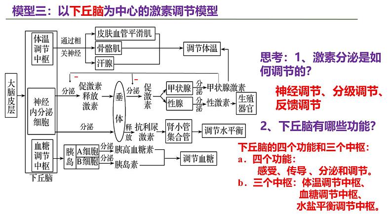 新高考生物二轮复习热点专题专项突破课件 专题五+个体生命活动的调节（含答案）07