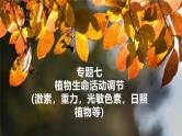 新高考生物二轮复习热点专题专项突破课件 专题七+植物激素、光、重力等的调节（含答案）