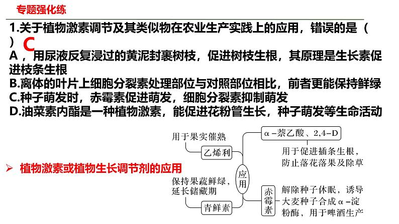 新高考生物二轮复习热点专题专项突破课件 专题七+植物激素、光、重力等的调节（含答案）第7页