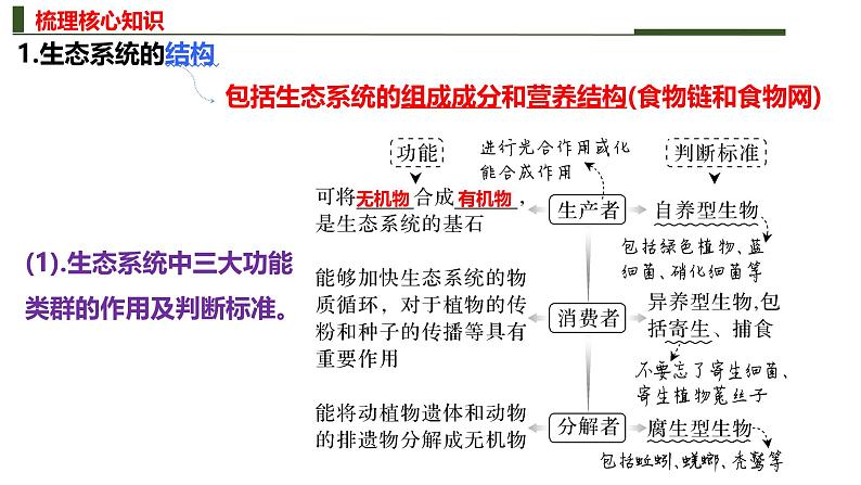 新高考生物二轮复习热点专题专项突破课件 专题九+生态系统与稳定性（含答案）第7页