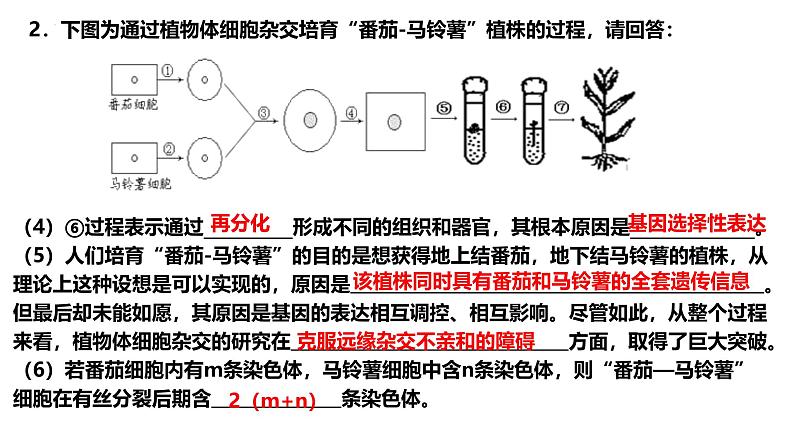 新高考生物二轮复习热点专题专项突破课件 专题一0一+细胞工程与胚胎工程（含答案）05