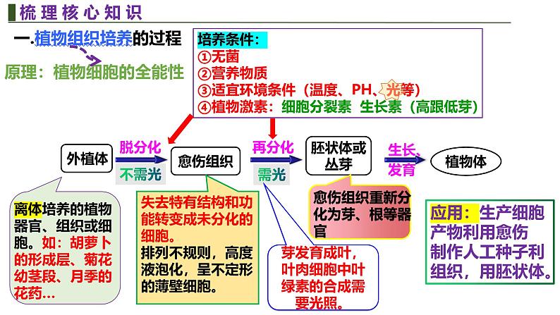 新高考生物二轮复习热点专题专项突破课件 专题一0一+细胞工程与胚胎工程（含答案）06