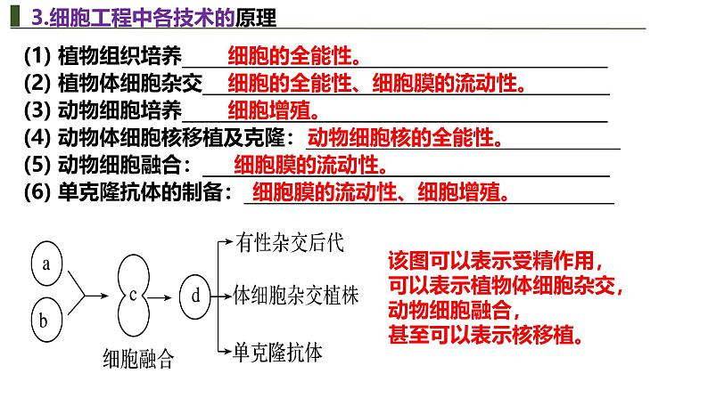 新高考生物二轮复习热点专题专项突破课件 专题一0一+细胞工程与胚胎工程（含答案）08