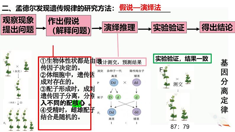 新高考生物二轮复习热点专题专项突破课件 专题一0三 孟德尔遗传定律及应用（含答案）第6页