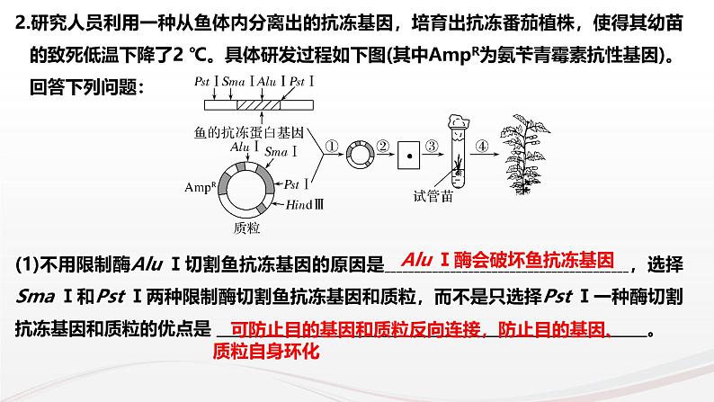 新高考生物二轮复习热点专题专项突破课件 专题一0二+基因工程(含PCR和电泳视频)（含答案）08