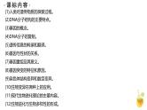 新高考生物二轮复习热点专题专项突破课件 专题一0四 遗传的分子基础、变异与进化（含答案）