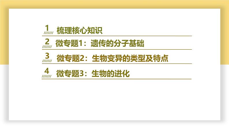 新高考生物二轮复习热点专题专项突破课件 专题一0四 遗传的分子基础、变异与进化（含答案）第3页