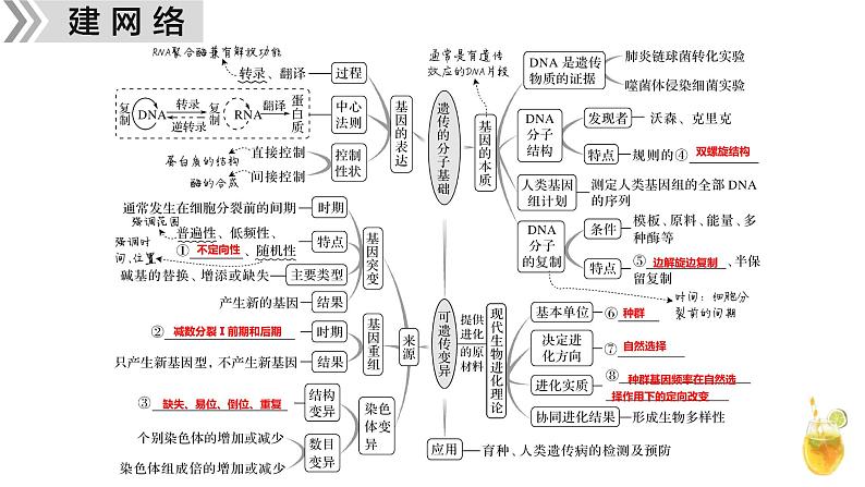 新高考生物二轮复习热点专题专项突破课件 专题一0四 遗传的分子基础、变异与进化（含答案）第4页