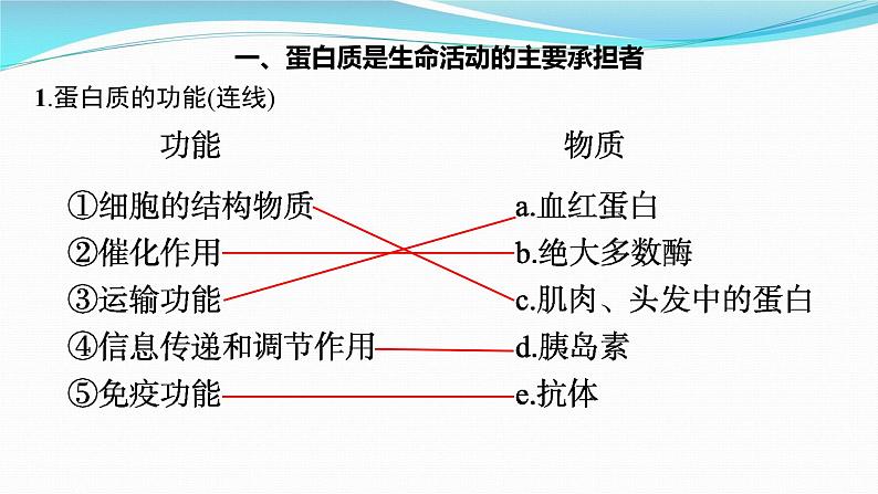 新高考生物一轮复习课件：第3讲　蛋白质和核酸（含解析）第3页