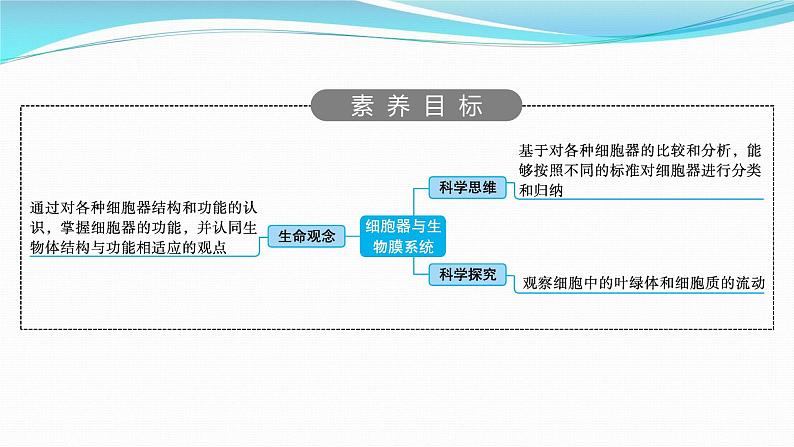 新高考生物一轮复习课件：第5讲　细胞器与生物膜系统（含解析）第2页