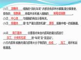 新高考生物一轮复习课件：第5讲　细胞器与生物膜系统（含解析）