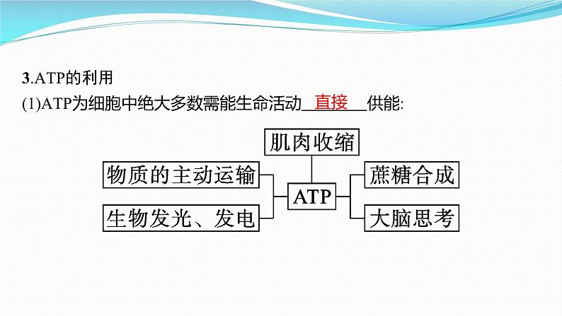 新高考生物一轮复习课件：第8讲　ATP与细胞呼吸（含解析）08