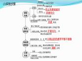 新高考生物一轮复习课件：第9讲　光合作用与能量转化（含解析）
