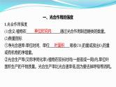 新高考生物一轮复习课件：第10讲　光合作用、细胞呼吸综合（含解析）