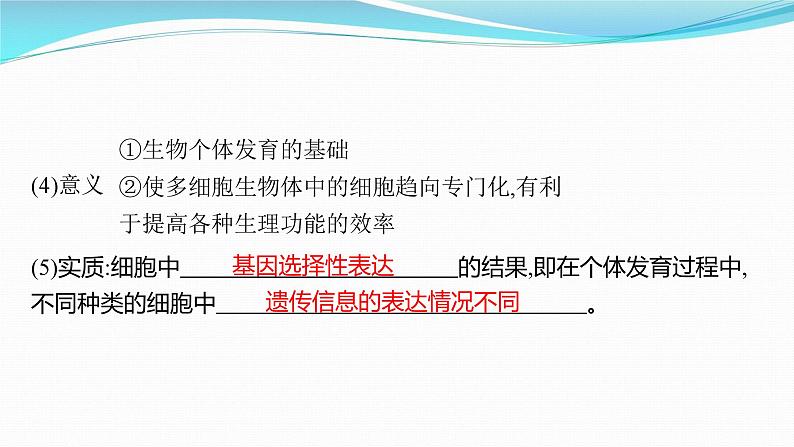 新高考生物一轮复习课件：第13讲　细胞的分化、衰老和死亡（含解析）第6页