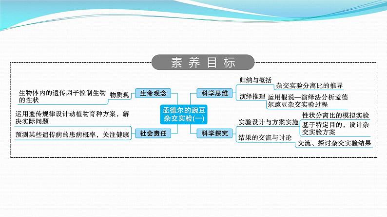 新高考生物一轮复习课件：第14讲　孟德尔的豌豆杂交实验(一)（含解析）第2页