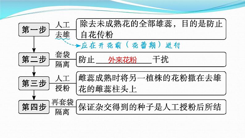 新高考生物一轮复习课件：第14讲　孟德尔的豌豆杂交实验(一)（含解析）第6页