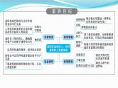 新高考生物一轮复习课件：第16讲　基因在染色体上、伴性遗传和人类遗传病（含解析）