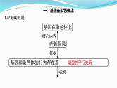 新高考生物一轮复习课件：第16讲　基因在染色体上、伴性遗传和人类遗传病（含解析）