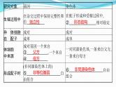 新高考生物一轮复习课件：第16讲　基因在染色体上、伴性遗传和人类遗传病（含解析）