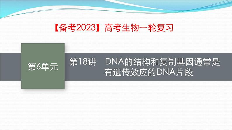 新高考生物一轮复习课件：第18讲　DNA的结构和复制基因通常是有遗传效应的DNA片段（含解析）第1页