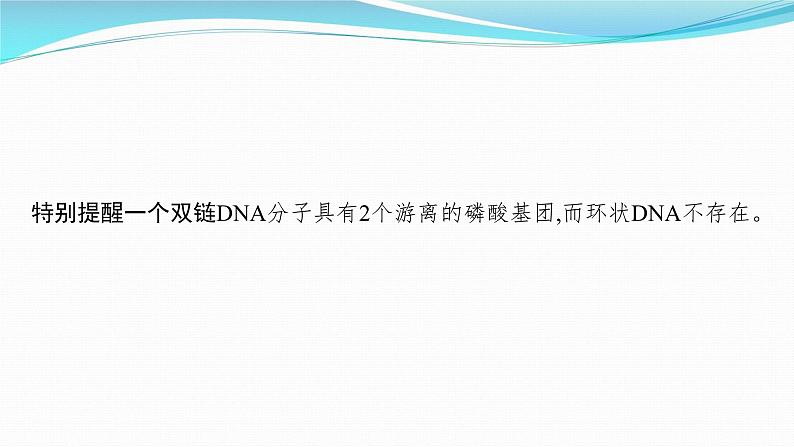 新高考生物一轮复习课件：第18讲　DNA的结构和复制基因通常是有遗传效应的DNA片段（含解析）第5页