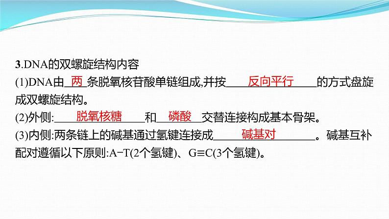 新高考生物一轮复习课件：第18讲　DNA的结构和复制基因通常是有遗传效应的DNA片段（含解析）第6页