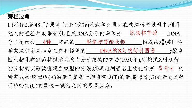 新高考生物一轮复习课件：第18讲　DNA的结构和复制基因通常是有遗传效应的DNA片段（含解析）第8页