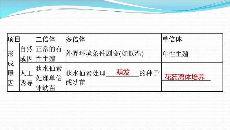 新高考生物一轮复习课件：第21讲　染色体变异与育种（含解析）第6页