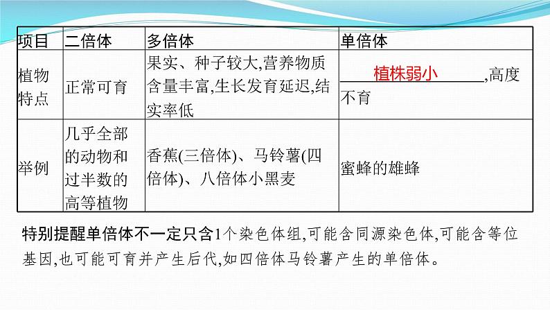 新高考生物一轮复习课件：第21讲　染色体变异与育种（含解析）第7页