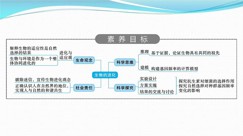 新高考生物一轮复习课件：第22讲　生物的进化（含解析）02