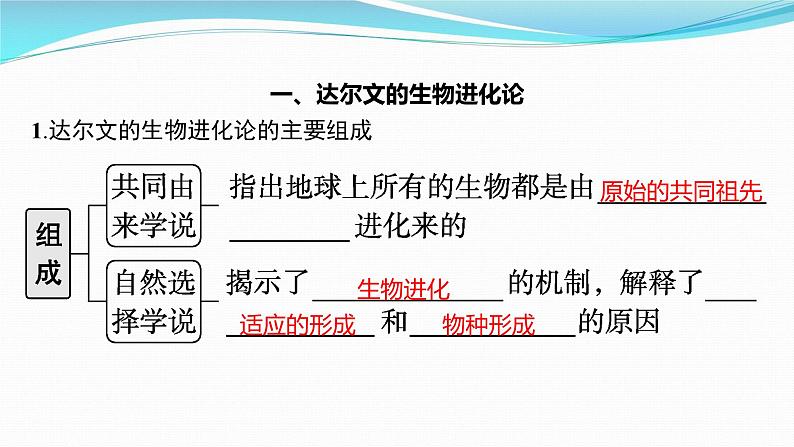 新高考生物一轮复习课件：第22讲　生物的进化（含解析）03