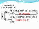 新高考生物一轮复习课件：第22讲　生物的进化（含解析）