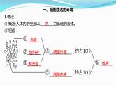 新高考生物一轮复习课件：第23讲　人体的内环境与稳态（含解析）