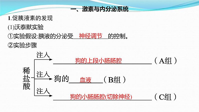 新高考生物一轮复习课件：第25讲　体液调节（含解析）第3页